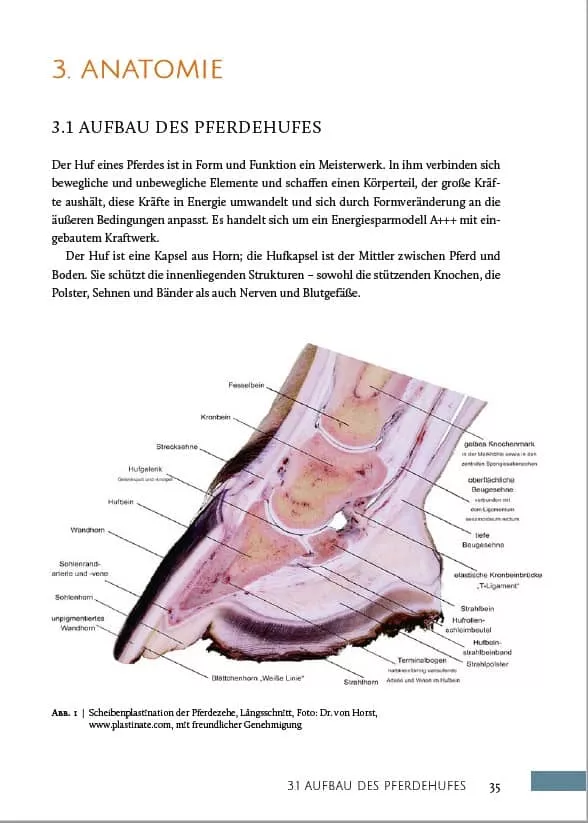 HUFWERK - Handbuch zum Pferdehuf