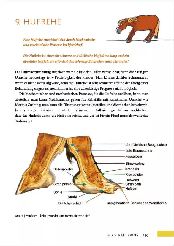 HUFWERK - Handbuch zum Pferdehuf